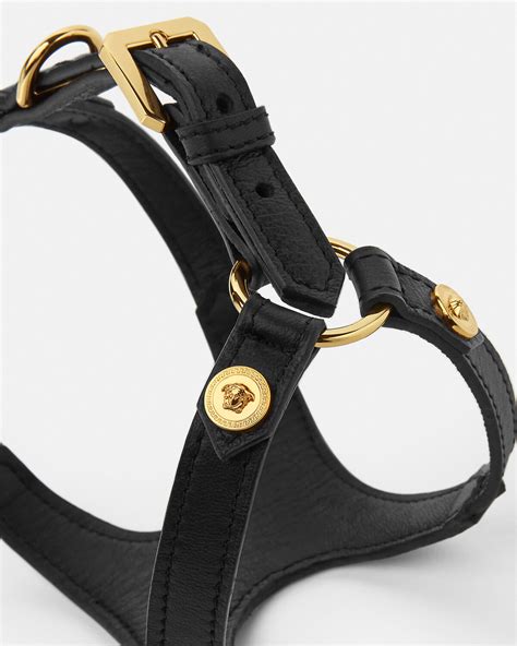 versace pet bijenkorf|Versace pet accessories.